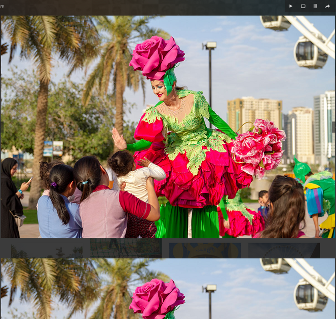 حدائق المنتزه في الشارقة حدائق المنتزه في الشارقة