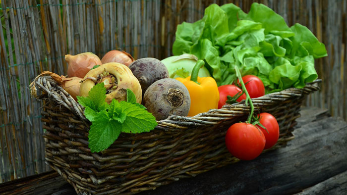 food-1-4 طبابة نت - أنواع الخضار الحاوية على القيم الغذائية
