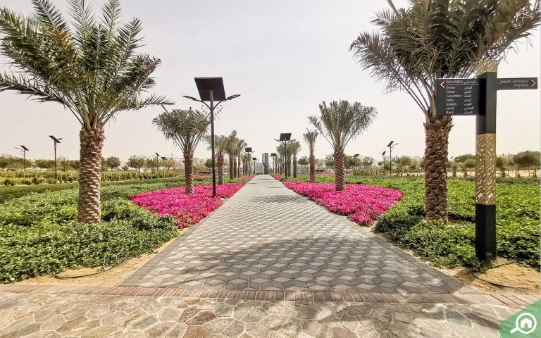 gardens-in-quranic-park-768x480-2 الحديقة القرآنية دبي