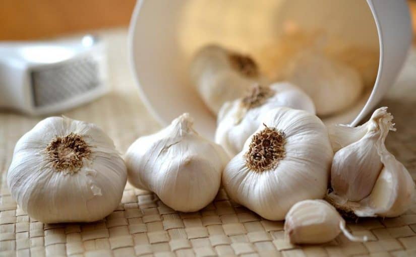 garlic-545223_960_720-825x510-2 الثوم والتخسيس