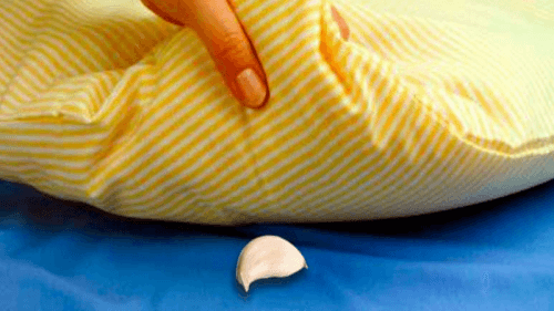 garlic-pillow-1