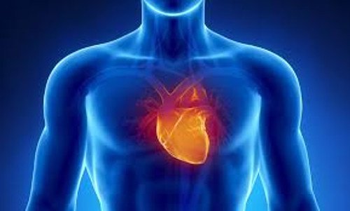 heart آثار نوبات القلق على القلب