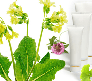 herbal_creams-2-380x335-1 11.الكريمات العشبية :