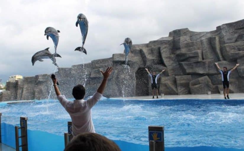 i9plddyyrtp_442940da26498bf7c53d5cc07f6a1e1b-825x510-2 جورجيا سياحة عائلية