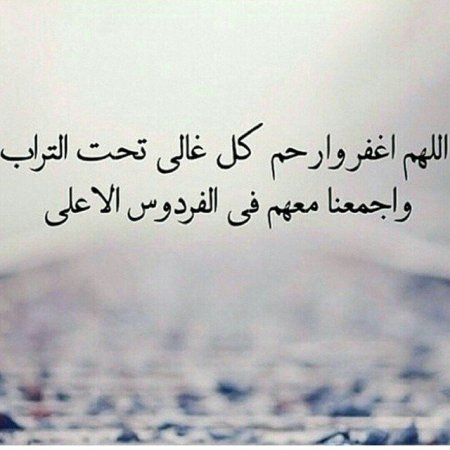 img_1446975fdasfas125_847