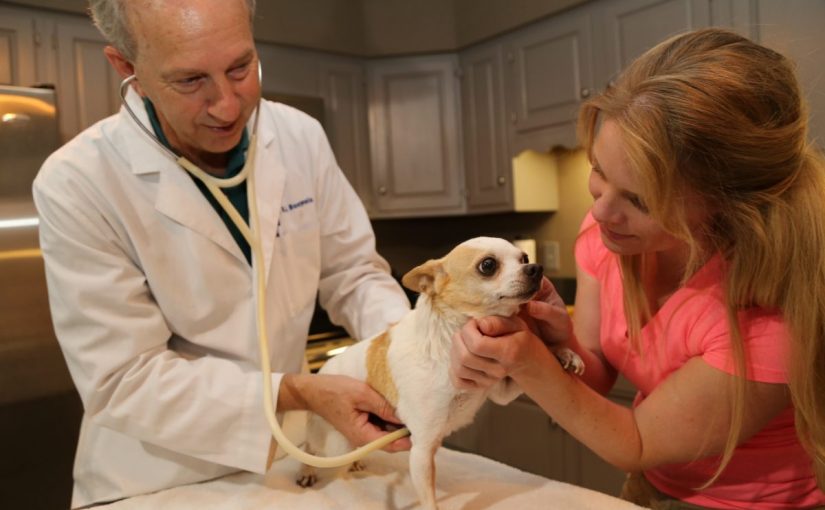 img_3426-1200x800-825x510-2 رعاية الحيوانات في الإمارات