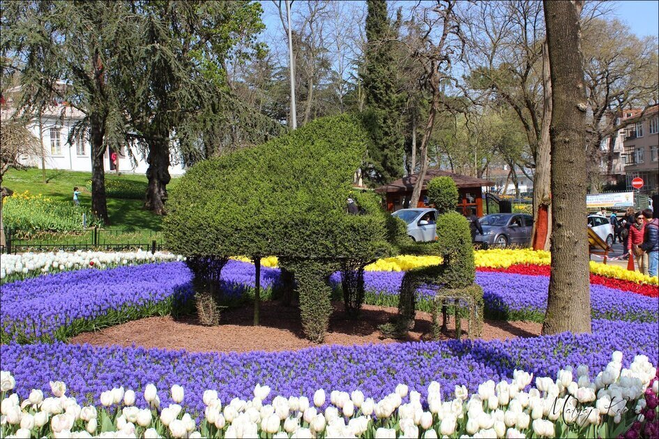 السياحة في اسطنبول السياحة في اسطنبول