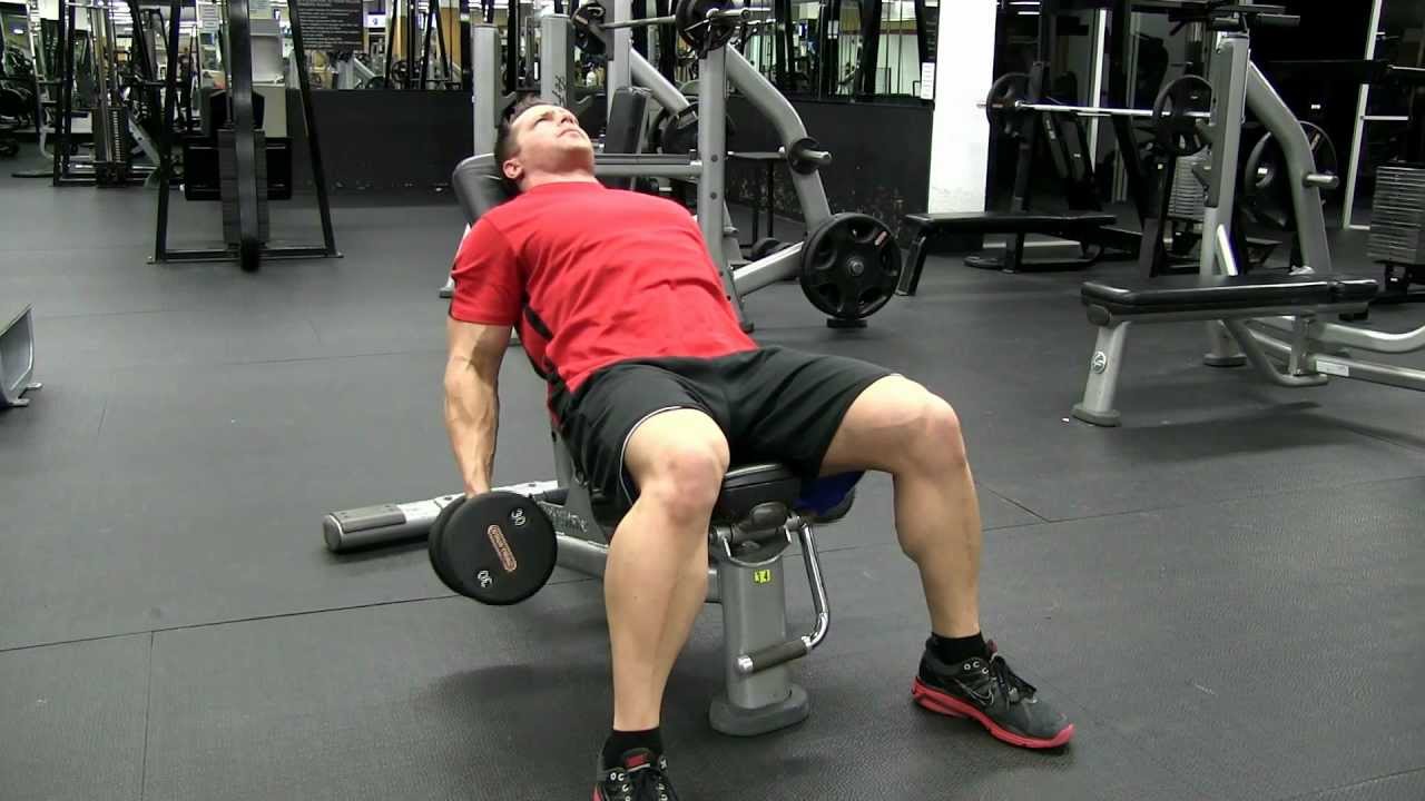 Image result for Incline Dumbbell Curls Exercises