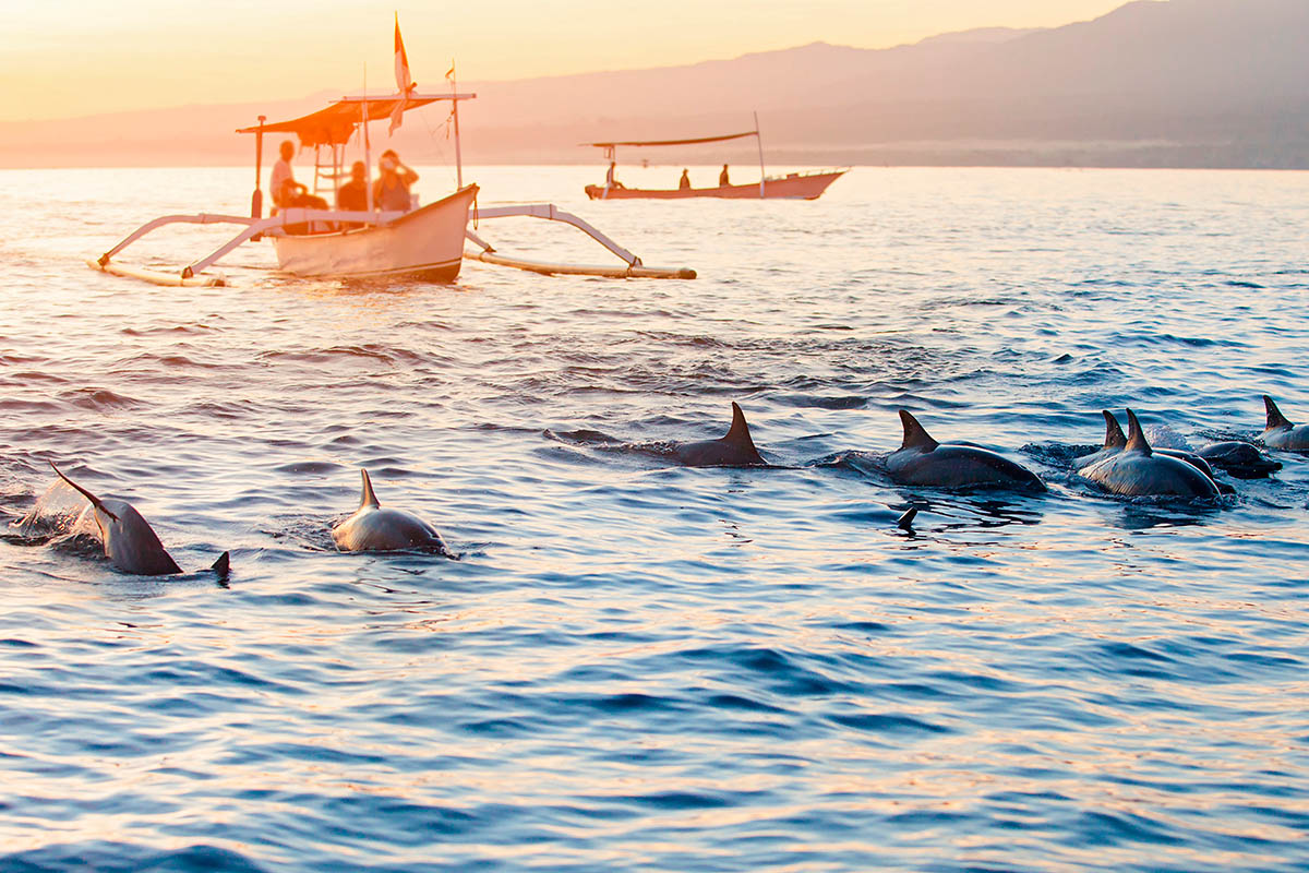 indonesia_bali_lovina_delfiini