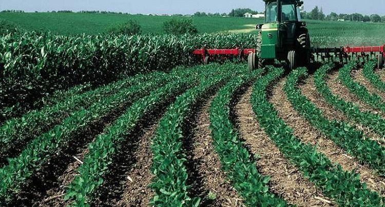 iqtisad_25-02-2017-6-750x405-1500x9999-c هكذا سيتم الاستثمار في قطاع الفلاحة