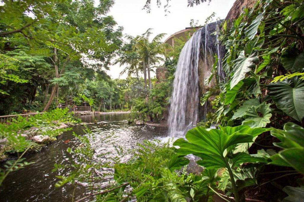 jungle_island_waterfall_fb
