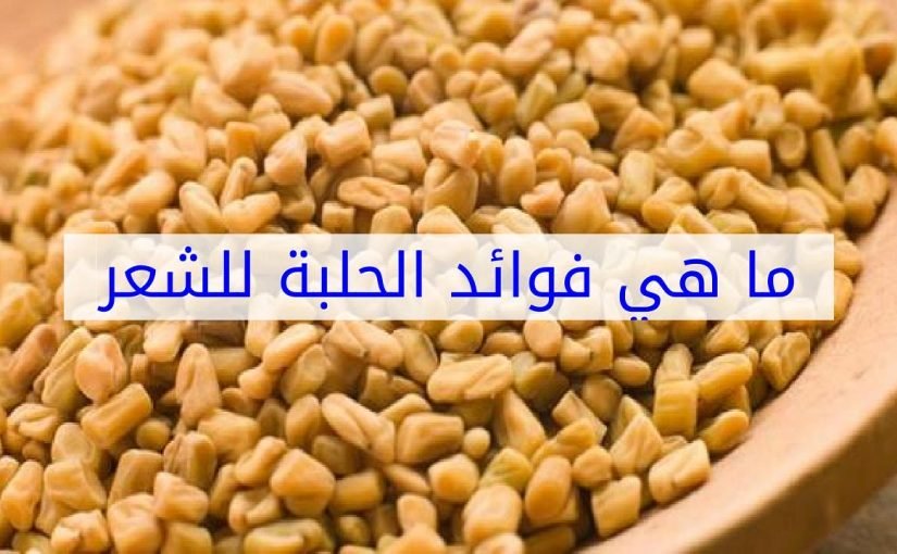 maxresdefault-4-825x510-2 الحلبة للشعر