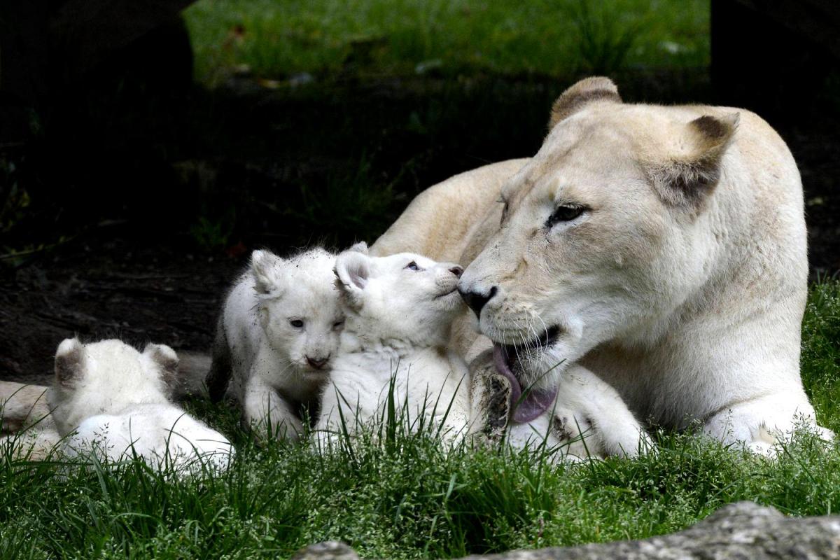 methode_times_prodmigration_web_bin_764d4c39-e0ba-33e3-95d0-8a80efcb3ba6