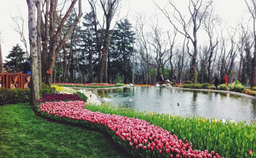 mini-gc3b6let-825x510-2 emirgan korusu