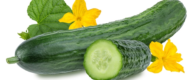 الخيار: هل يعالج الزهايمر والحساسية؟ الخيار: هل يعالج الزهايمر والحساسية؟