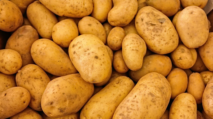 potato-5 طبابة نت - فوائد البطاطا