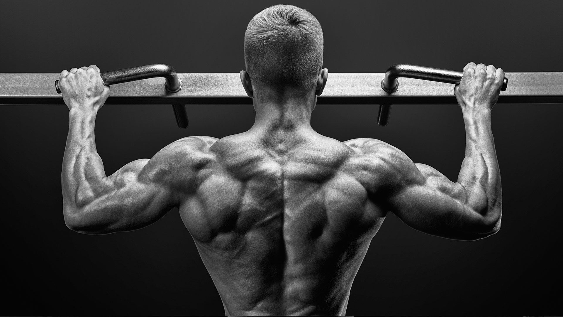 Image result for Pull-Up