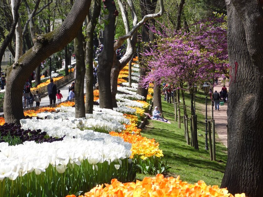 السياحة في تركيا السياحة في تركيا