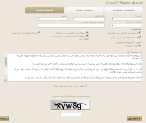 screenshot-21-300x254-1