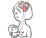 shutterstock_1008465007 الرضاعة تزيد هرمون الحليب