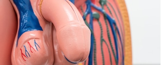 shutterstock_666053083 دوالي الخصية