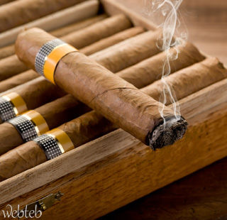 السيجار السيجار