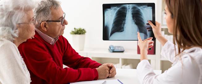 فوائد الدوم في محاربة السرطانات فوائد الدوم في محاربة السرطانات