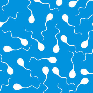 فوائد الدوم الجنسية فوائد الدوم الجنسية