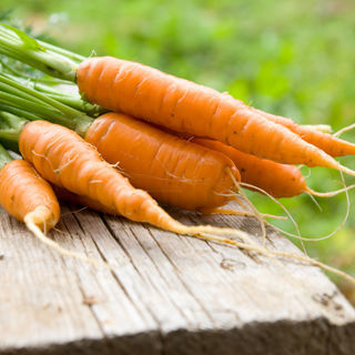 الخضراوات غير النشوية الخضراوات غير النشوية