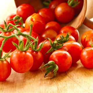 الطماطم الطماطم