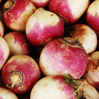 اللفت اللفت