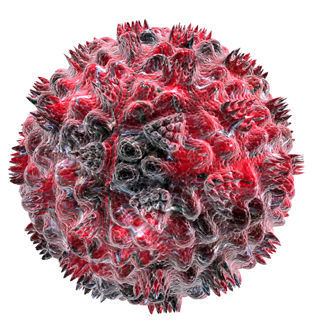 المراحل المتقدمة المراحل المتقدمة