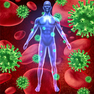 المراحل الاخيرة المراحل الاخيرة