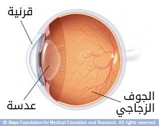 العين الداخلية العين الداخلية