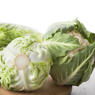 الملفوف (الكرنب) الملفوف (الكرنب)