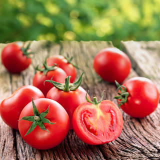 الطماطم الطماطم