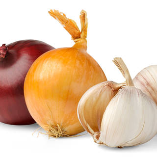 الثوم والبصل الثوم والبصل