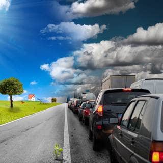 سنخدم البيئة سنخدم البيئة