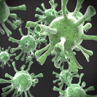 هل يعطى اللقاح ضد نوع واحد من الفيروس؟ هل يعطى اللقاح ضد نوع واحد من الفيروس؟