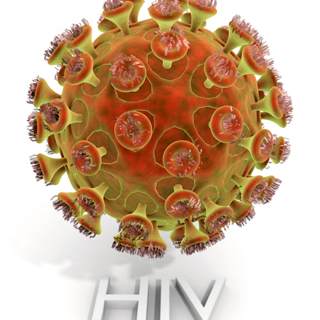 1981 - 1982 - ظهور مرض الإيدز وتسميته 1981 - 1982 - ظهور مرض الإيدز وتسميته