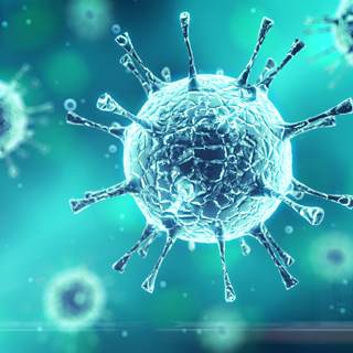 الفيروسات الفيروسات