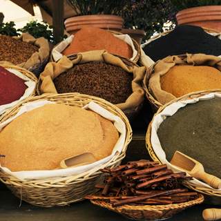 التعرض للمهيجات التعرض للمهيجات