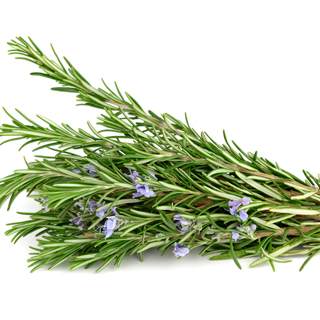 اكليل الجبل اكليل الجبل