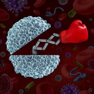 تقوي المناعة تقوي المناعة