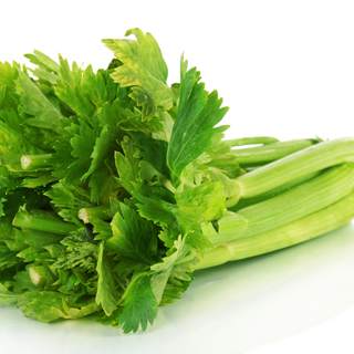 الكرفس الكرفس