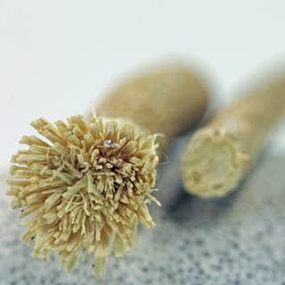 طريقة استخدام المسواك طريقة استخدام المسواك