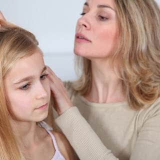 قمل الرأس قمل الرأس