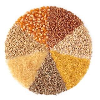 بذور عباد الشمس والمكسرات بذور عباد الشمس والمكسرات