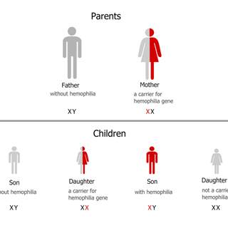من يصاب بالمرض؟ من يصاب بالمرض؟