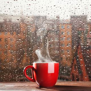 الأطعمة الباردة والساخنة الأطعمة الباردة والساخنة